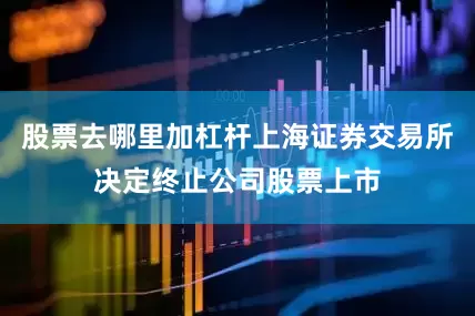 股票去哪里加杠杆上海证券交易所决定终止公司股票上市