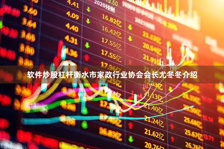 软件炒股杠杆衡水市家政行业协会会长尤冬冬介绍
