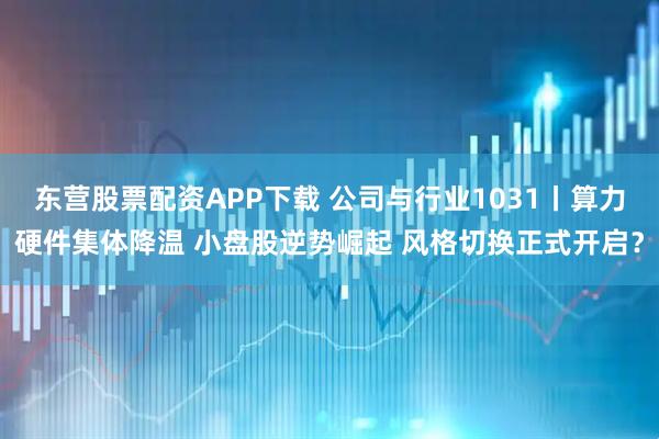 东营股票配资APP下载 公司与行业1031丨算力硬件集体降温 小盘股逆势崛起 风格切换正式开启?