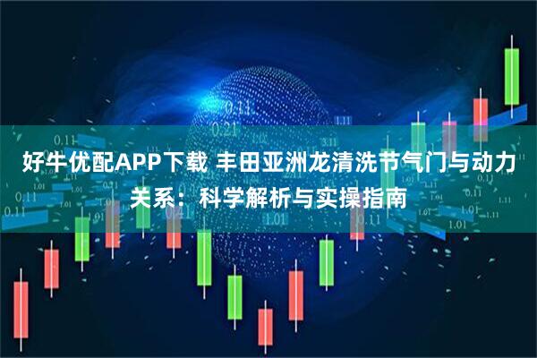 好牛优配APP下载 丰田亚洲龙清洗节气门与动力关系：科学解析与实操指南