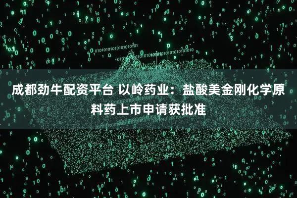 成都劲牛配资平台 以岭药业：盐酸美金刚化学原料药上市申请获批准
