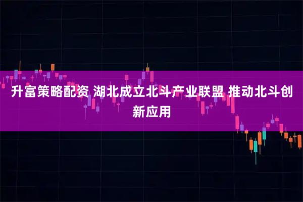升富策略配资 湖北成立北斗产业联盟 推动北斗创新应用