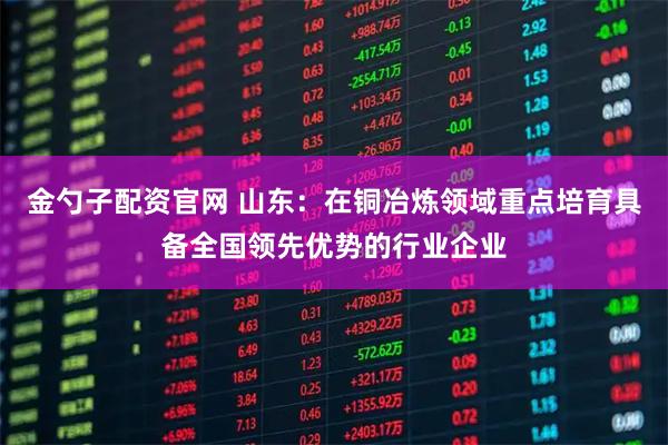 金勺子配资官网 山东：在铜冶炼领域重点培育具备全国领先优势的行业企业