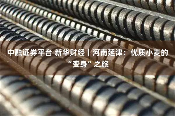 中融证券平台 新华财经|河南延津:优质小麦的“变身”之旅