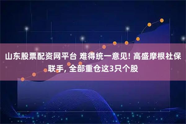 山东股票配资网平台 难得统一意见! 高盛摩根社保联手, 全部重仓这3只个股
