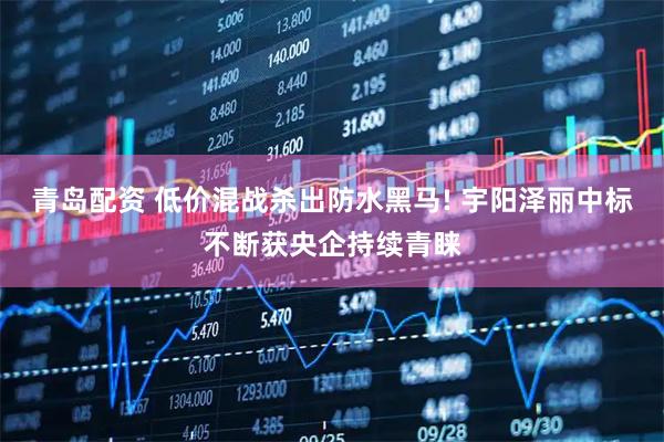青岛配资 低价混战杀出防水黑马! 宇阳泽丽中标不断获央企持续青睐